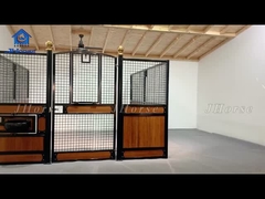 水に耐える馬 安定 究極の保護 騎乗環境