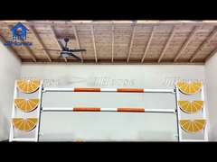 高安全性 固体PVC 馬のジャンプ機器 プロの騎手向け