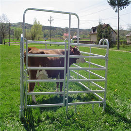 携帯用ヒツジのパネル/鋼鉄牛はパネルの円形のペンの塀の畜舎のパネルを囲います