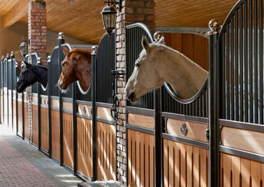 内部の固体背部ヨーロッパの馬は12フット サイズ220cm高さを停止します